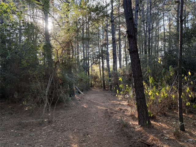 28655 Joseph Road, Hockley, TX 77447