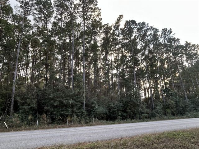 28655 Joseph Road, Hockley, TX 77447