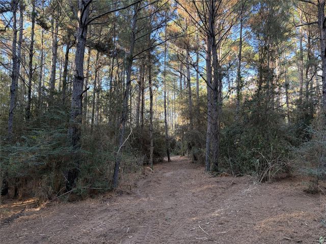 28655 Joseph Road, Hockley, TX 77447