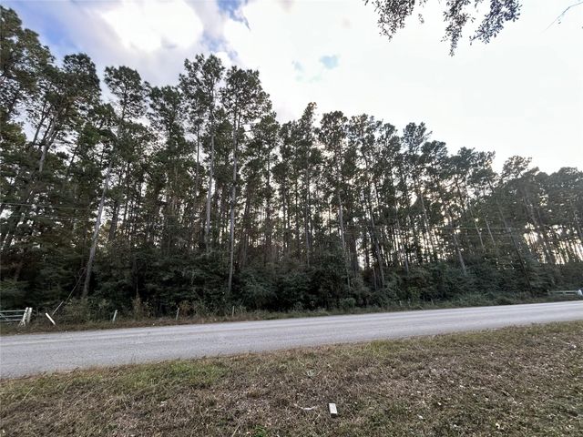 28655 Joseph Road, Hockley, TX 77447