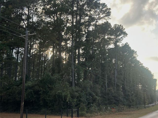 28655 Joseph Road, Hockley, TX 77447