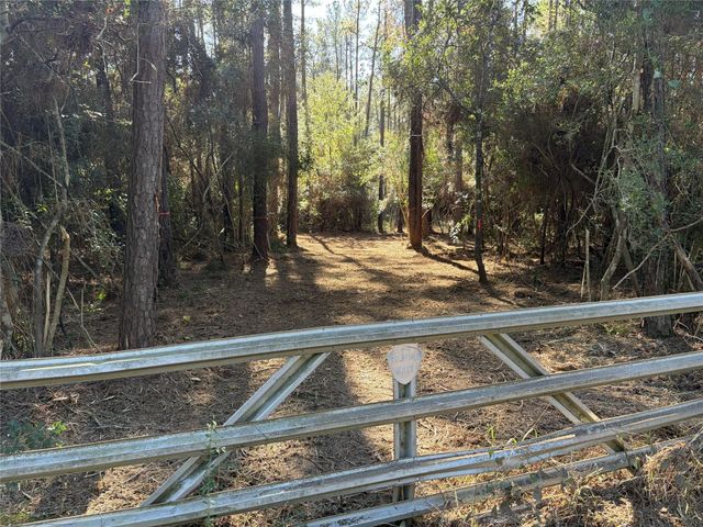 28655 Joseph Road, Hockley, TX 77447