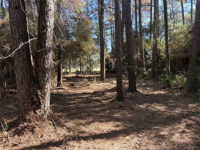 28655 Joseph Road, Hockley, TX 77447