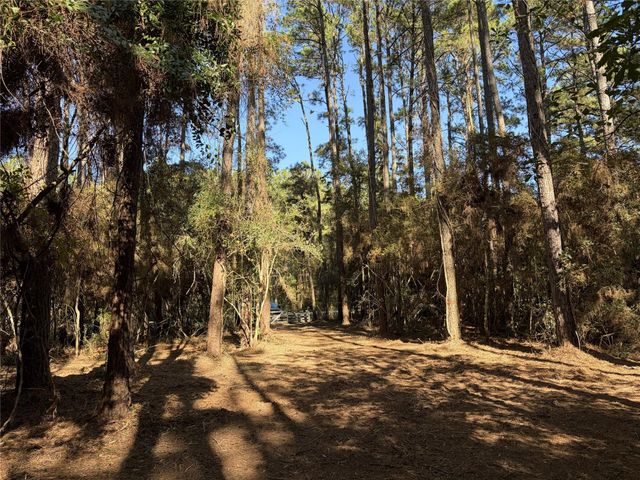 28655 Joseph Road, Hockley, TX 77447