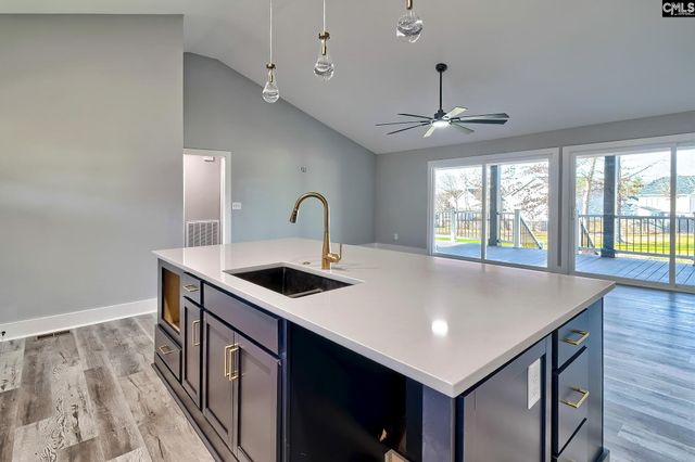 3048 Wessinger Road, Chapin, SC 29036