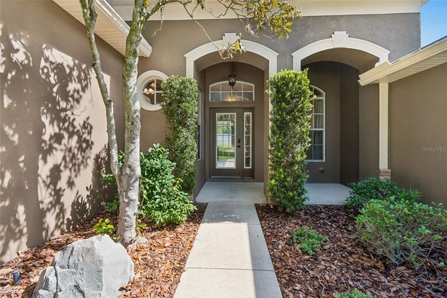 3820 MISTY LANDING DRIVE, Valrico, FL 33594