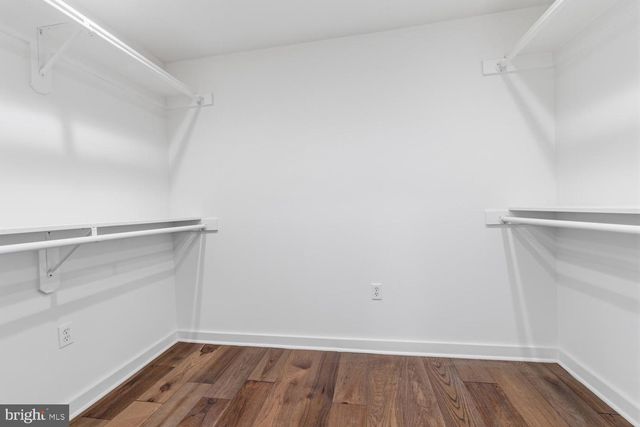 8107 GLADSTONE RD, Glenside, PA 19038
