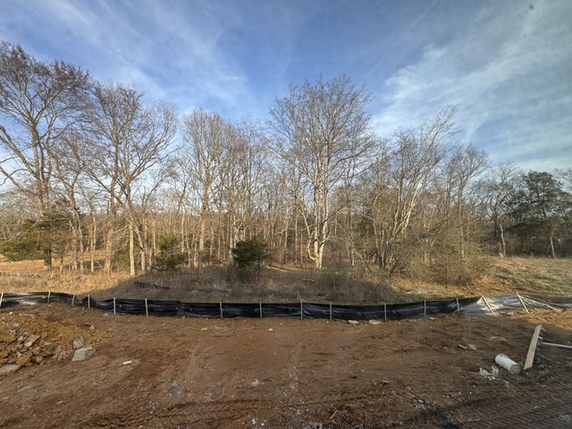 5924 Luke Court, Arrington, TN 37014