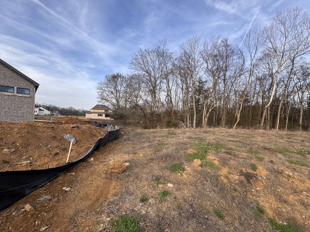 5924 Luke Court, Arrington, TN 37014