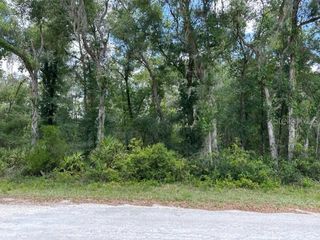 6471 OTTER DRIVE, Webster, FL 33597