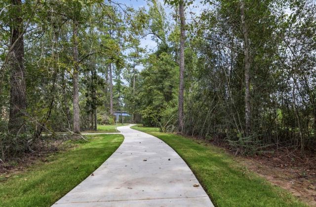 102 Cedar Elm Court, Magnolia, TX 77354