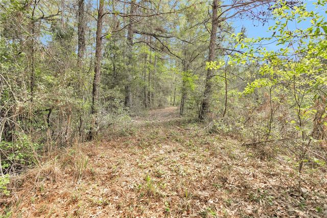 17174 Tierra Buena Drive, Plantersville, TX 77363