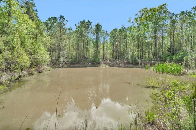 17174 Tierra Buena Drive, Plantersville, TX 77363