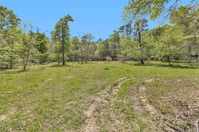 17174 Tierra Buena Drive, Plantersville, TX 77363