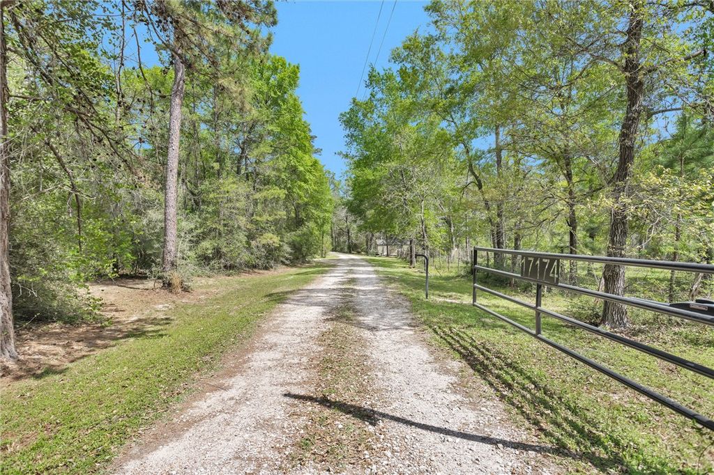 17174 Tierra Buena Drive, Plantersville, TX 77363 — photo 2