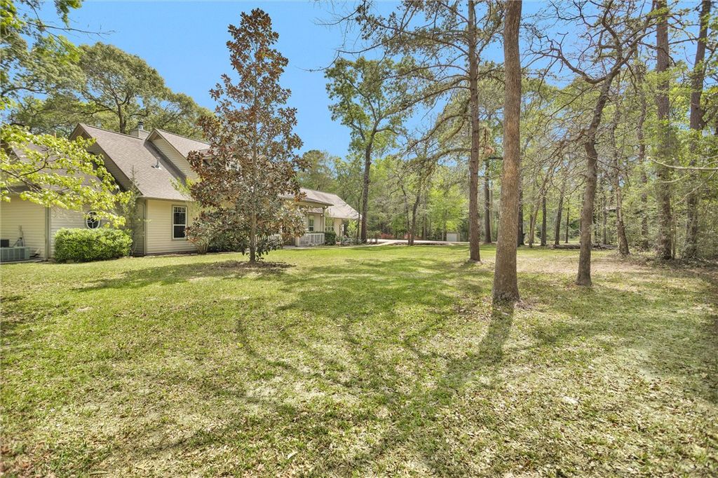 17174 Tierra Buena Drive, Plantersville, TX 77363 — photo 4