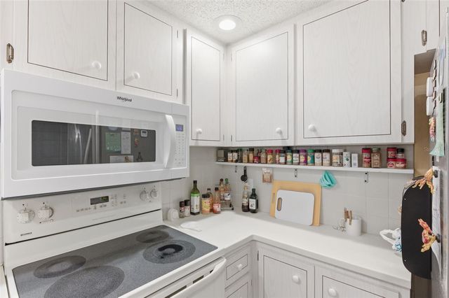 1009 S BAYSHORE BOULEVARD 204, Safety Harbor, FL 34695