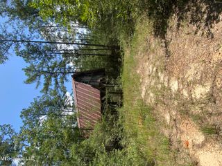 Bear Drive, Carriere, MS 39426