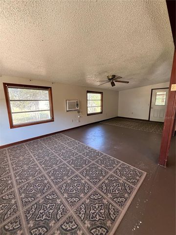 11411 HUGGINS ST, Leesburg, FL 34788