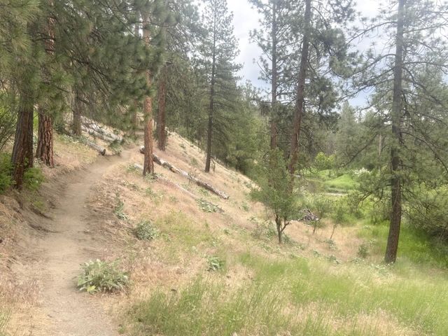 616 E Martingale Ct, Spokane, WA 99224