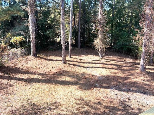 47 Collins Drive, Douglasville, GA 30134