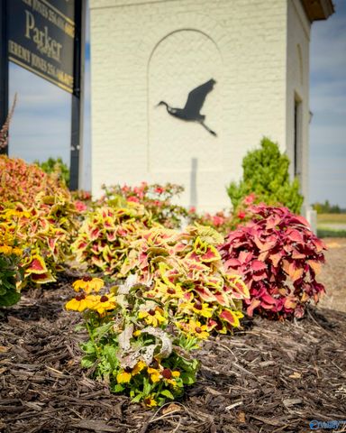 Lot 20 Legacy Cove, Decatur, AL 35601