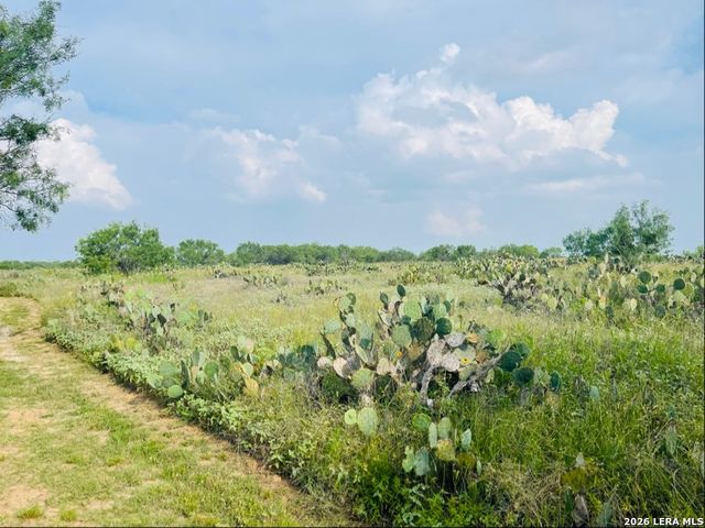 869 & 873 County Road 773, Devine, TX 78016