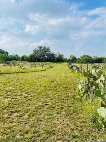 869 & 873 County Road 773, Devine, TX 78016