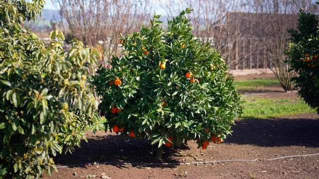 730 Lepa Court, Gilroy, CA 95020