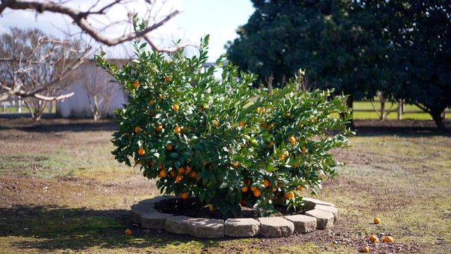 730 Lepa Court, Gilroy, CA 95020