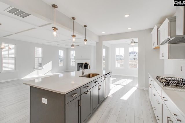 229 Horse Farm Place, Lexington, SC 29072