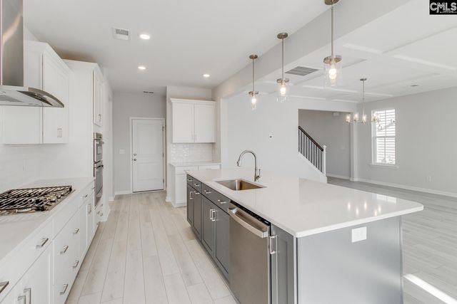 229 Horse Farm Place, Lexington, SC 29072