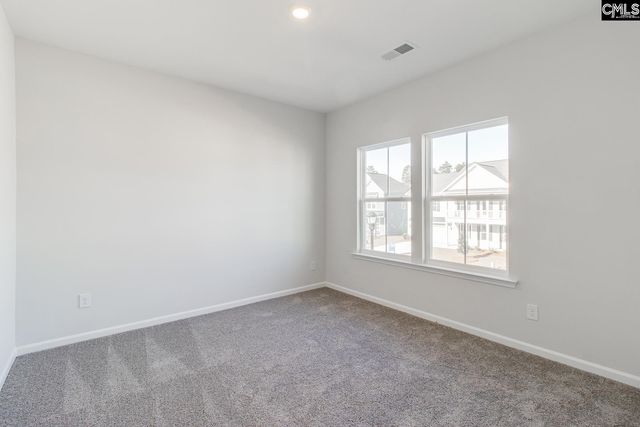 229 Horse Farm Place, Lexington, SC 29072