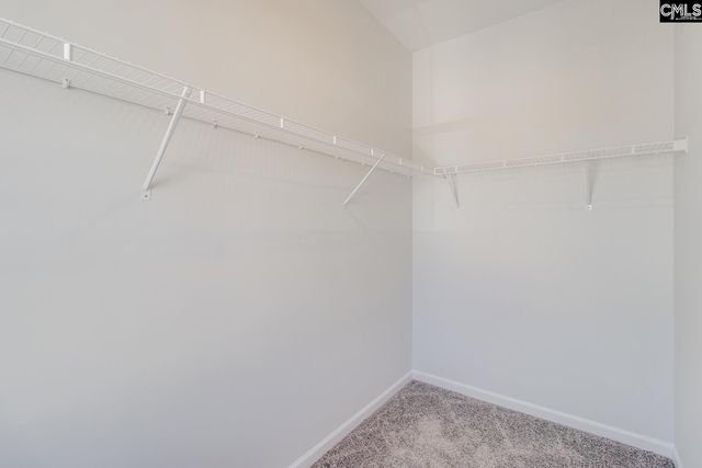 229 Horse Farm Place, Lexington, SC 29072