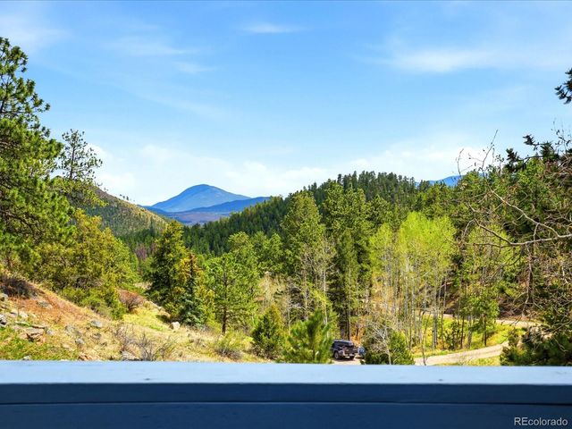 204 Bob Cat Trail, Bailey, CO 80421