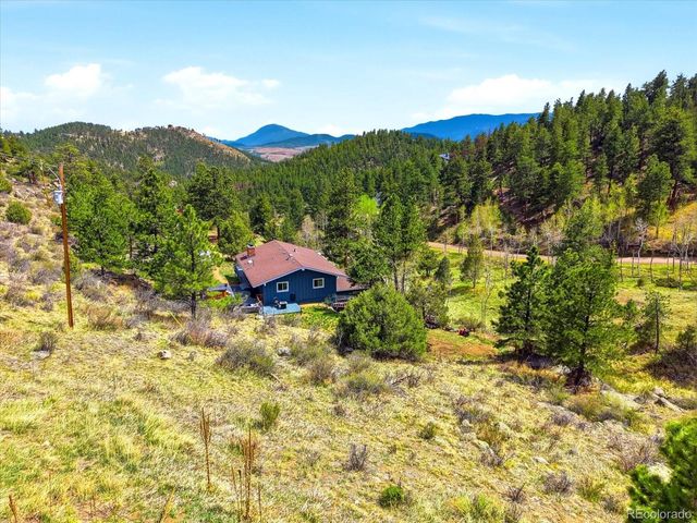 204 Bob Cat Trail, Bailey, CO 80421