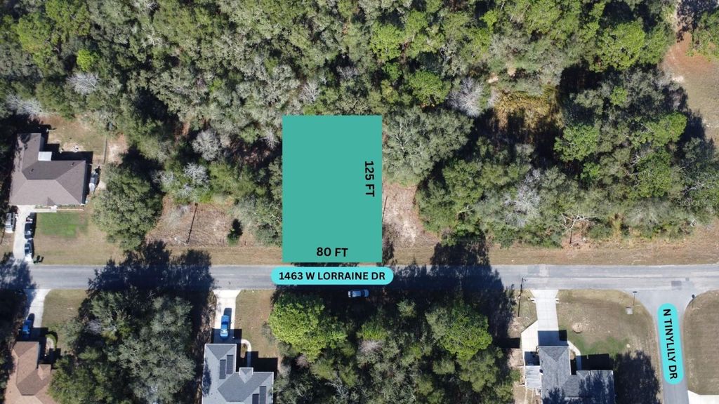 1463 W LORRAINE DRIVE, Citrus Springs, FL 34434