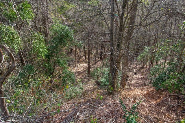 TBD Hanauma, Bastrop, TX 78602