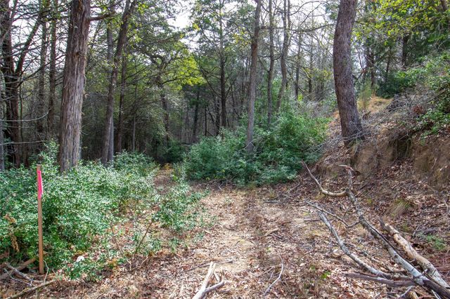 TBD Hanauma, Bastrop, TX 78602