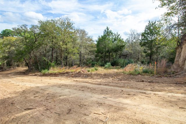 TBD Hanauma, Bastrop, TX 78602
