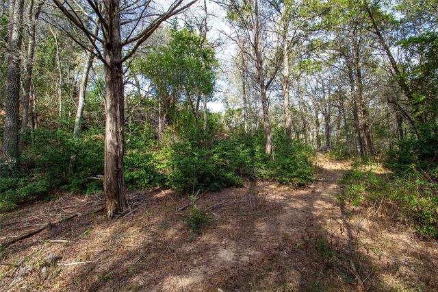 TBD Hanauma, Bastrop, TX 78602