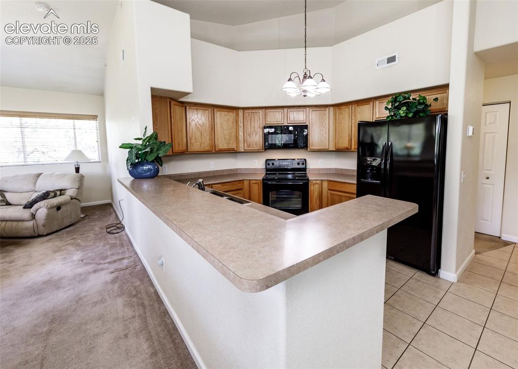 3755 Hartsock Lane 307, Colorado Springs, CO 80917 — photo 3