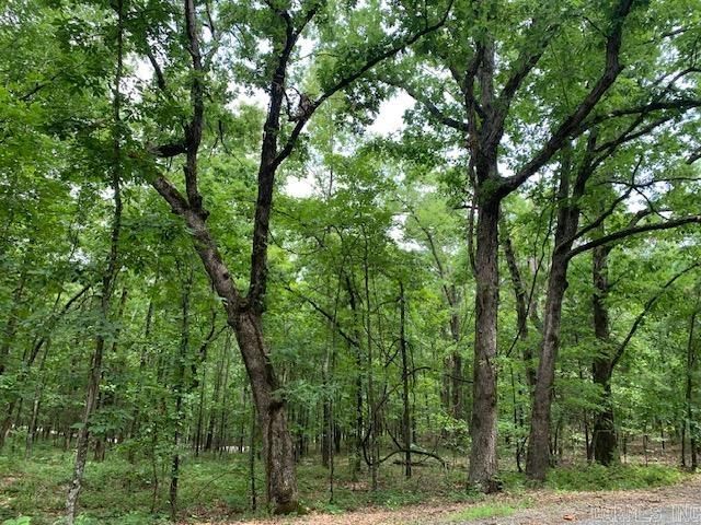 Lots 44 & 45 Lakeview Drive, Heber Springs, AR 72543