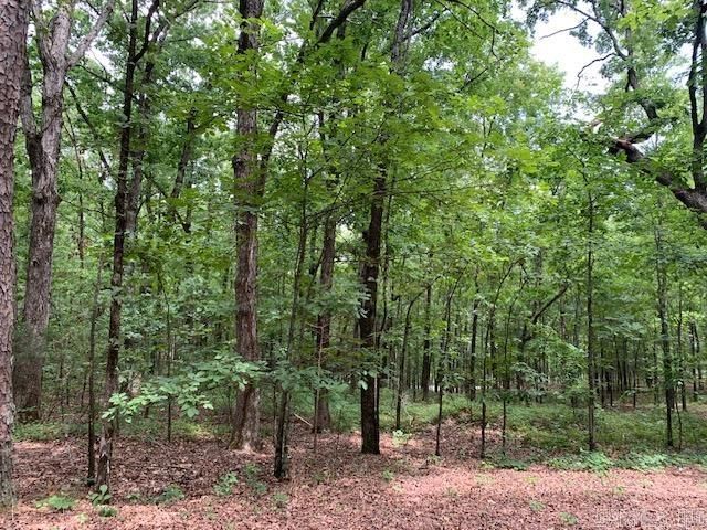Lots 44 & 45 Lakeview Drive, Heber Springs, AR 72543