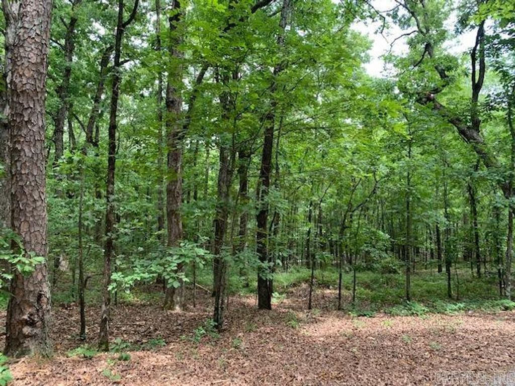 Lots 44 & 45 Lakeview Drive, Heber Springs, AR 72543
