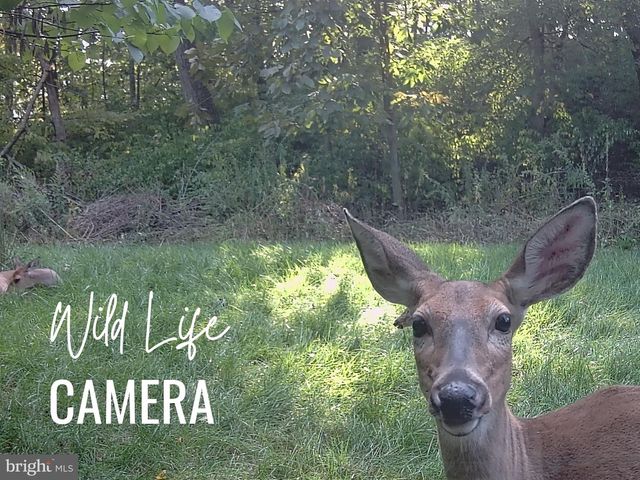 122 WAYNE DR, Harrisburg, PA 17112