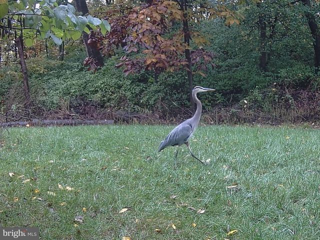 122 WAYNE DR, Harrisburg, PA 17112