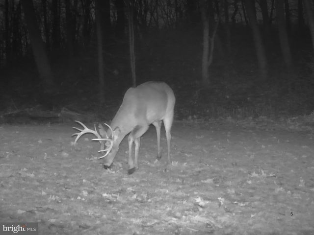 122 WAYNE DR, Harrisburg, PA 17112