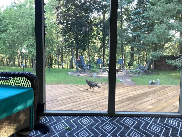 1350 RAIN DANCE TRAIL, Nekoosa, WI 54457