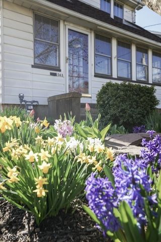 563 PIERSON STREET, Westfield Town, NJ 07090